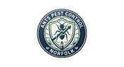 Ants Pest Control Norfolk